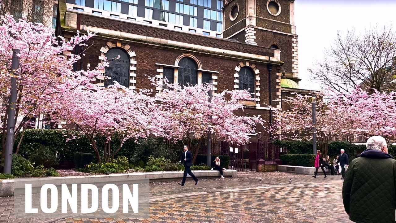 London Cherry Blossoms Spring 2023 🌸 | Walking Central Aldgate, London Tower of London, Tower Bridge