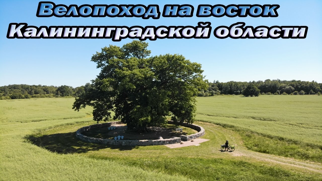 Велопоход на восток Калининградской области | Воинский мемориал Маттишкемен | Дуб в Бабушкино