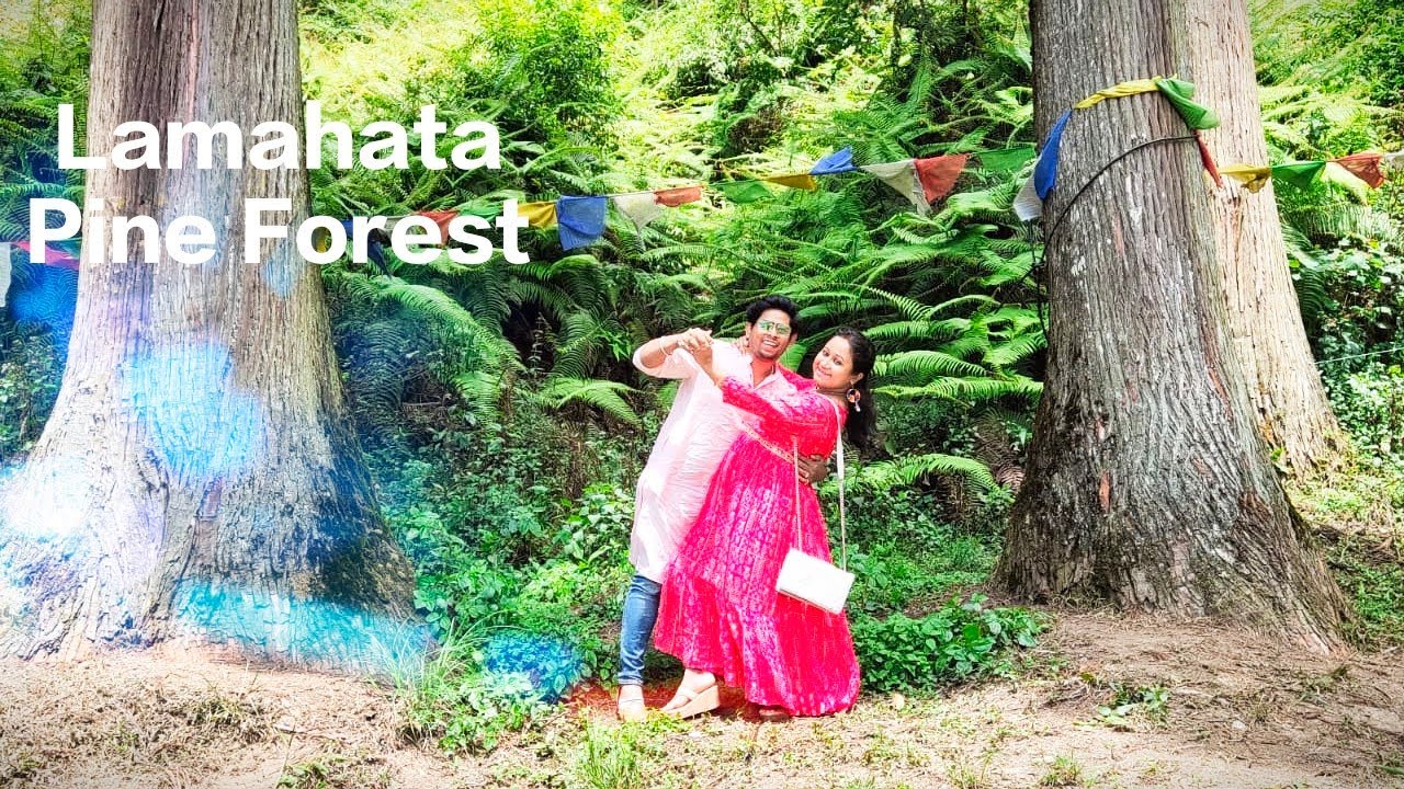 Beauty Of Lamahata || Darjeeling || @sanjitadityo #vlog 