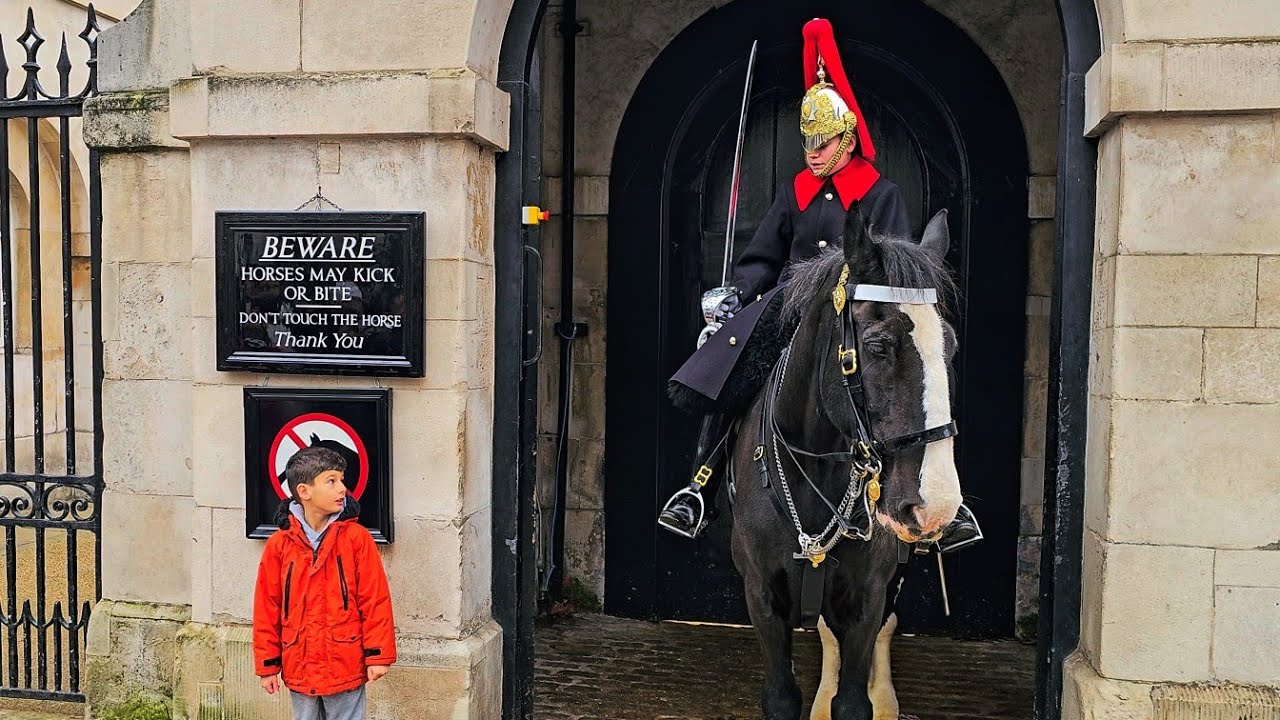 10 Times She Told Them! SUPERB ENFORCEMENT When Tourists Misbehave at Horse Guards!