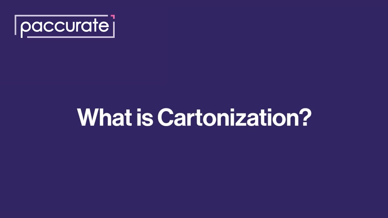 What is Cartonization?