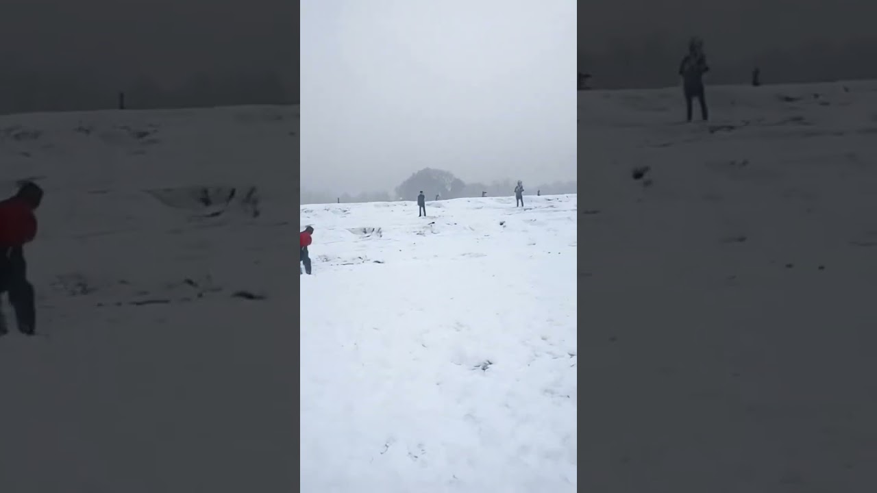 cricket in ice snow ❄️🌨️ 