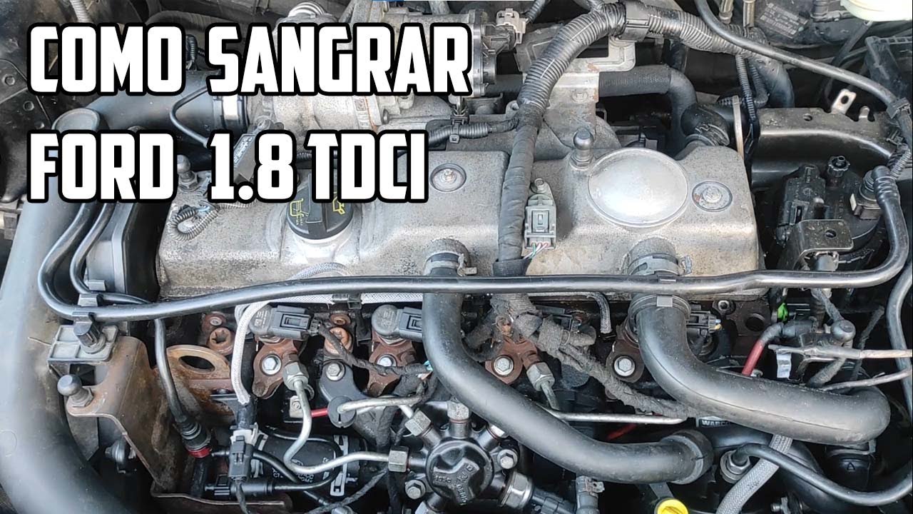 Como sangrar o sistema de Diesel dos motores Ford 1.8 TDCI - Focus, Mondeo, Transit Connect