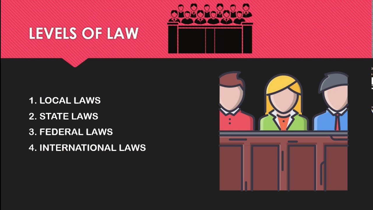 Levels of Law & Bodies of Law in Hindi | Digital Forensic Lectures In Hindi
