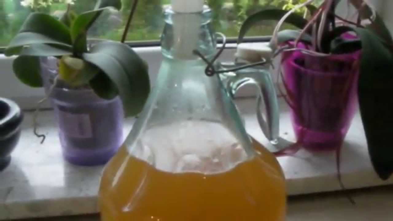 Kwas chlebowy - przepis