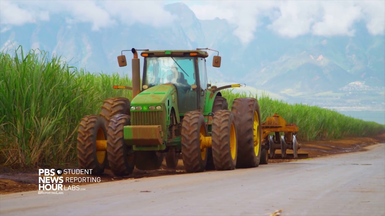 Hawaii works to restore soil after 100+ years of mono-cropping