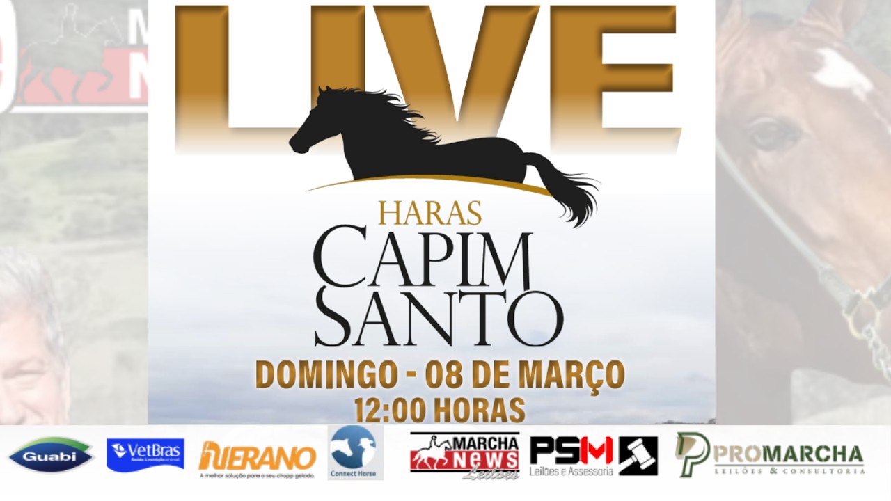 LIVE DE CRIAÇÃO - HARAS CAPIM SANTO