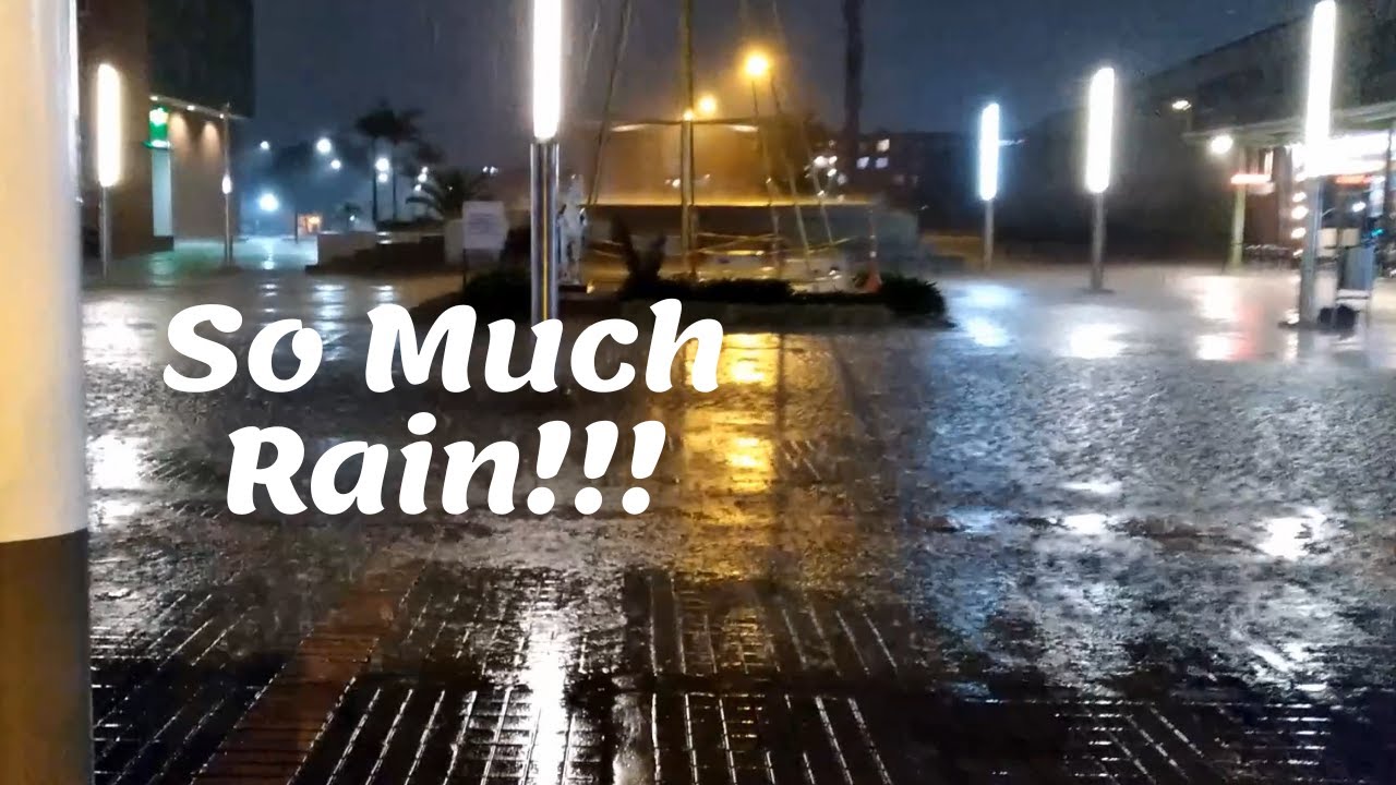 What is the weather like in Bogota? | BARRETO FAMILY