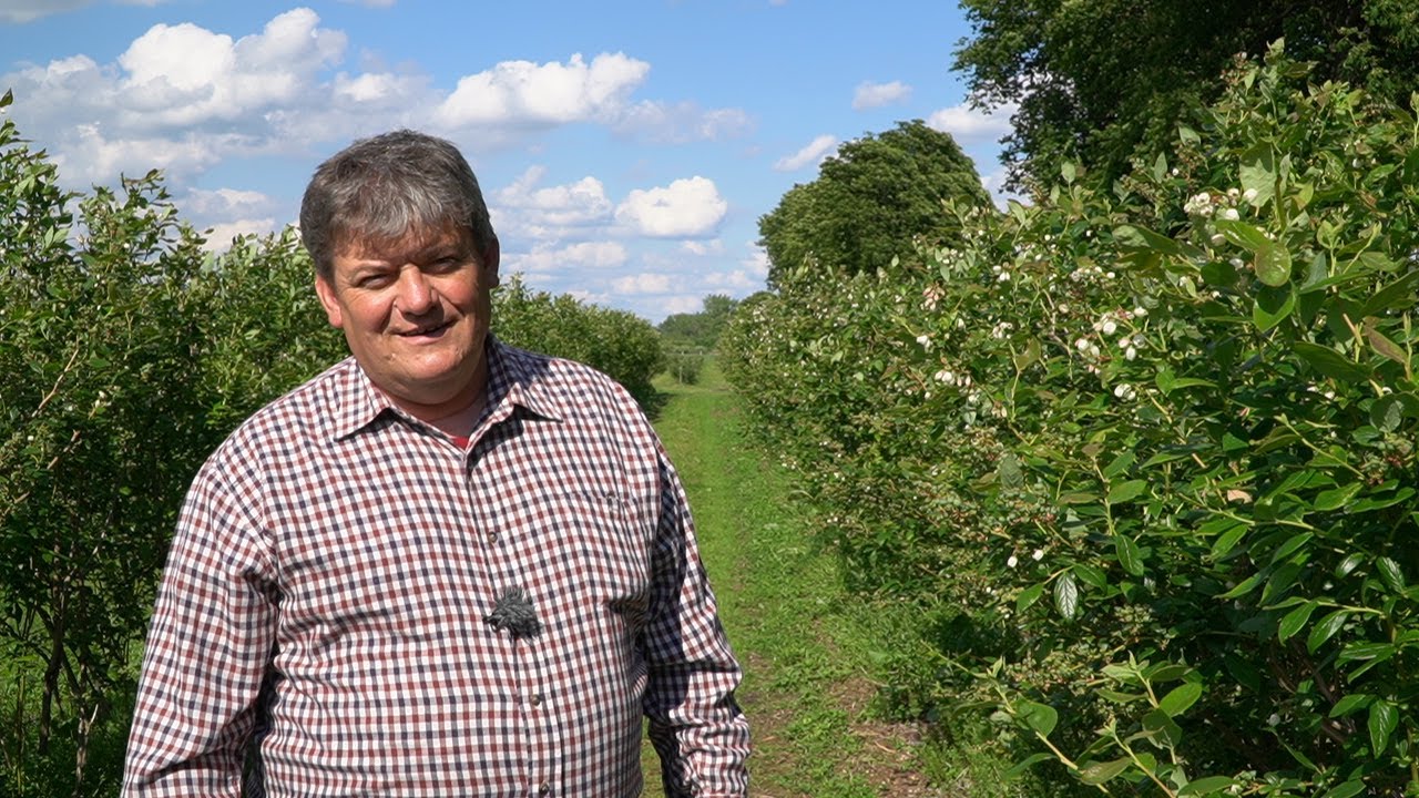 Komunikat dla borówki Zbigniew Marek, 03.06.22