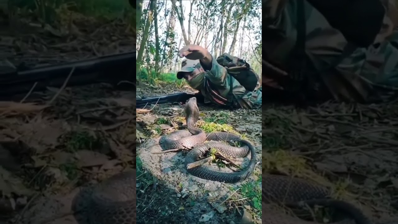 Soldier vs Snake 🐍 Viral Video l 