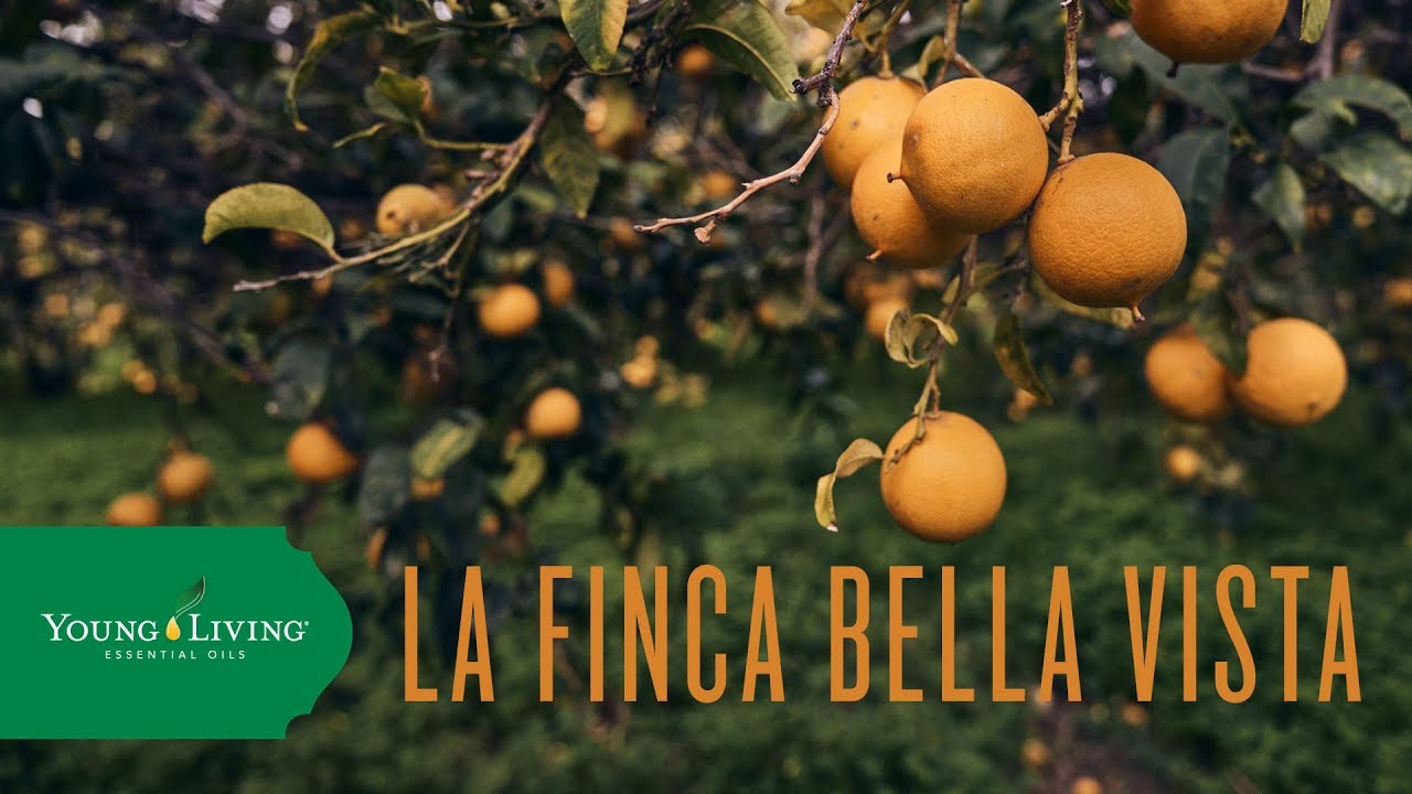 La Finca Bella Vista, Italia | Young Living