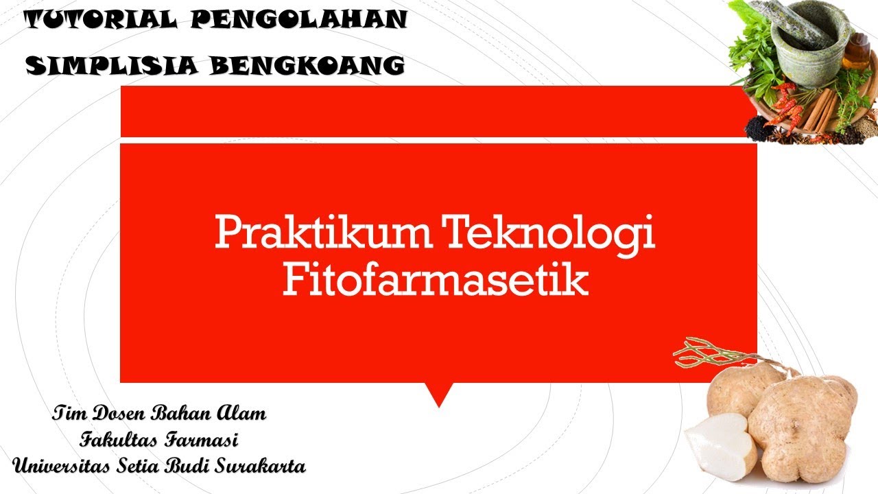 Pembuatan Ekstrak Bengkoang | Pengolahan Simplisia Bengkoang | #universitassetiabudi