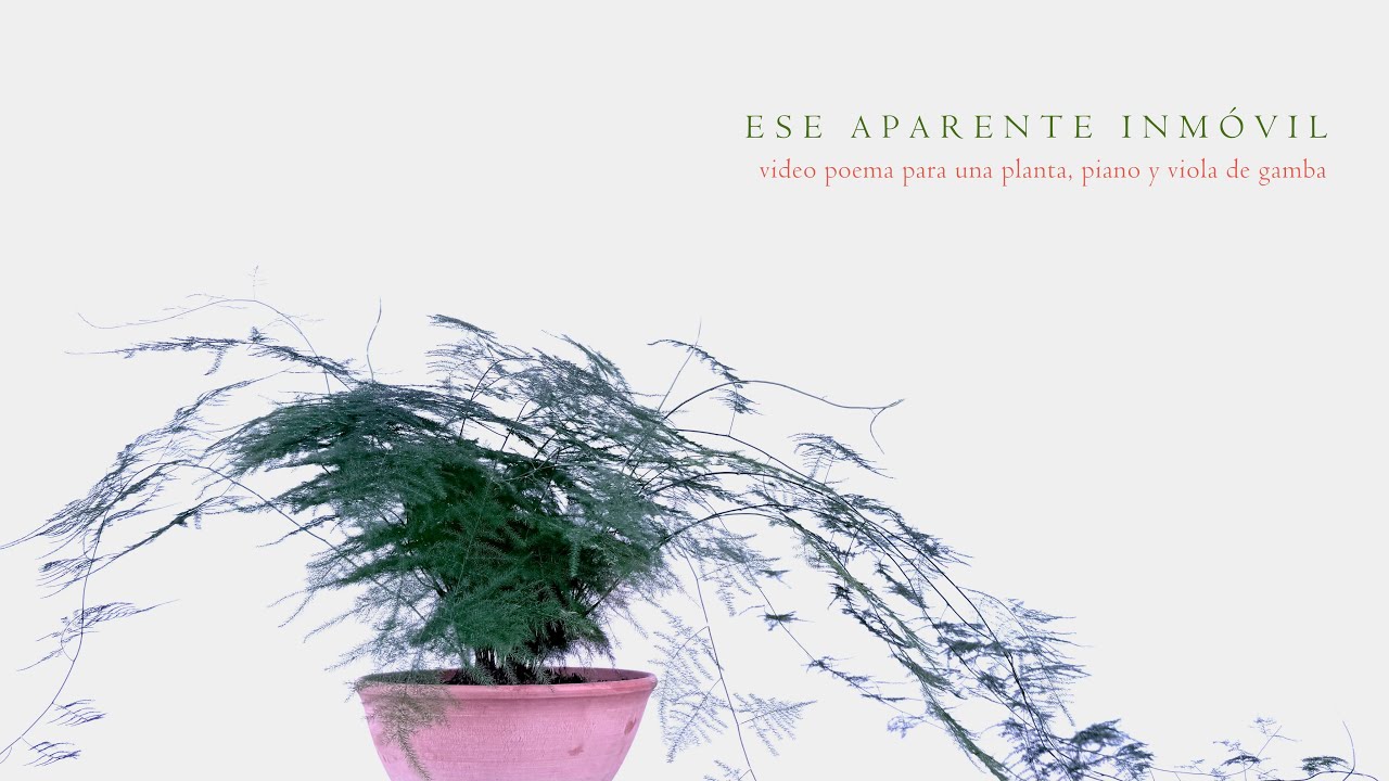 ESE APARENTE INMÓVIL / Video poema para una planta, piano y viola de gamba.