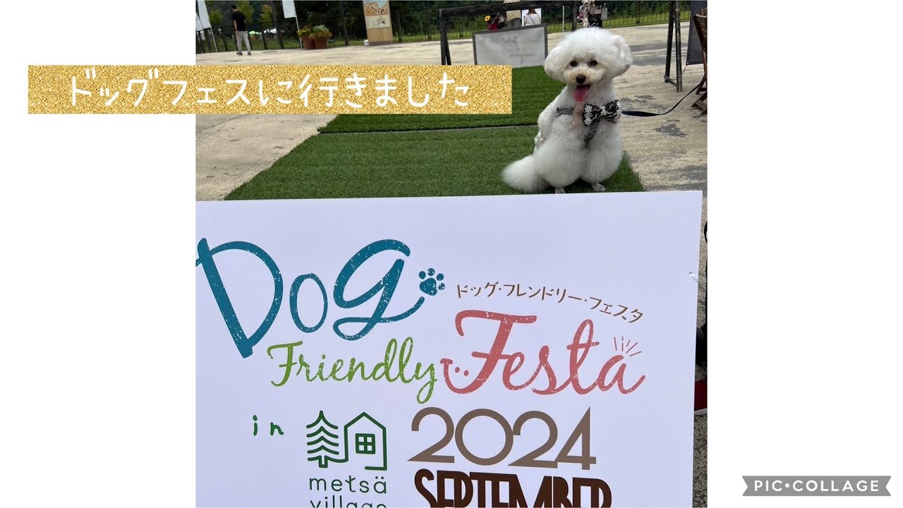 【ドッグフェス】ドッグフレンドリーフェスタ in 飯能メッツァビレッジ　2024/09/28