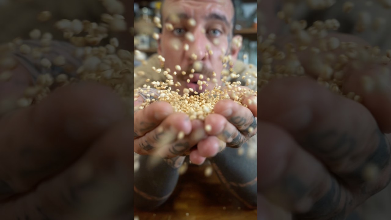 Puffed quinoa energy bites! #shorts