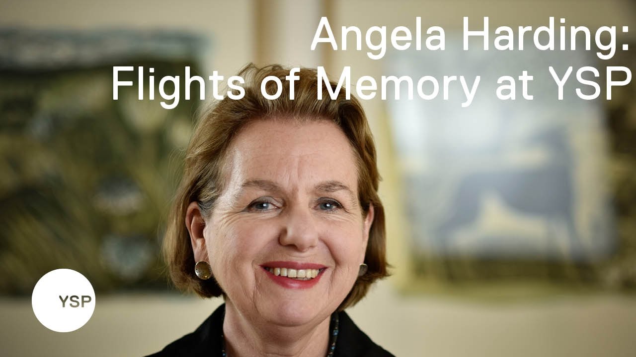 Angela Harding: Flights of Memory at Yorkshire Sculpture Park