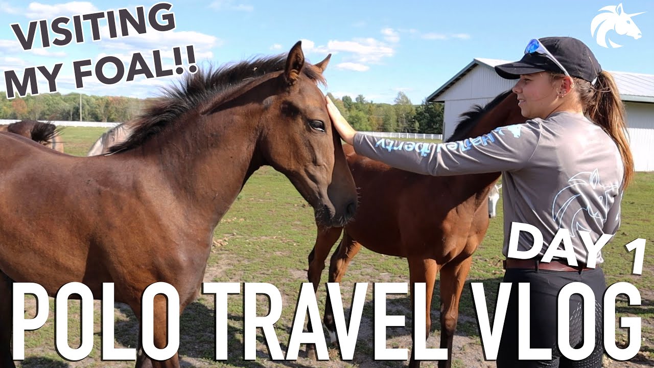 POLO TRAVEL VLOG DAY 1 | Visiting my Foal!! | Hailey Liberty