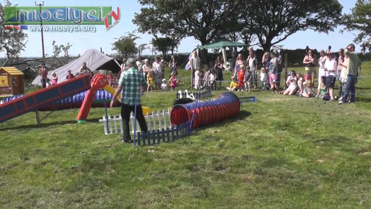 Sheepdog Magic Display team Moelyci Environmental Center