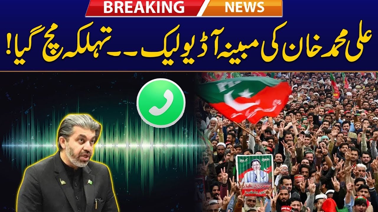 Ali Muhammad Khan Audio Leaked About Protest - Breaking&nbsp;News