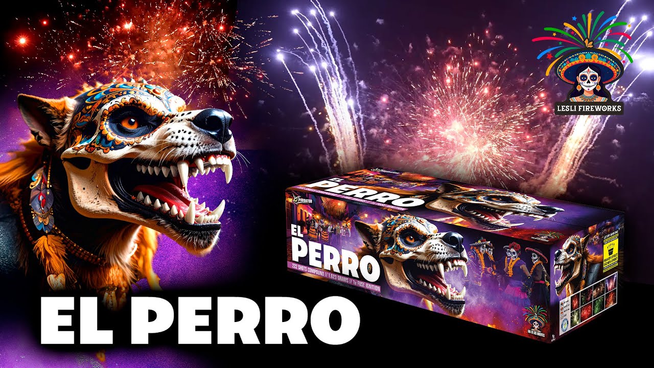 El Perro - 04441 | CAT F2 | Official video