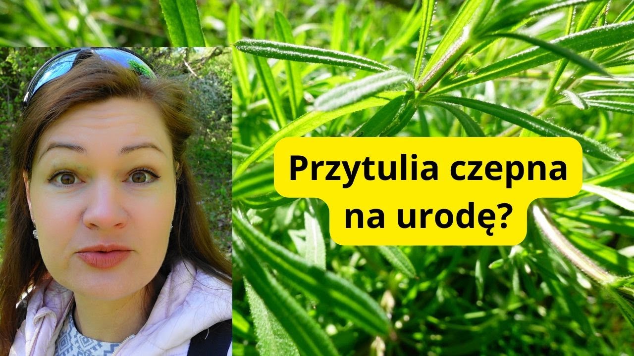 🌿Jeśli masz obrzęki i problemy z pęcherzem obejrzyj ten film!🌿Przytulia czepna pomoże się oczyścić!