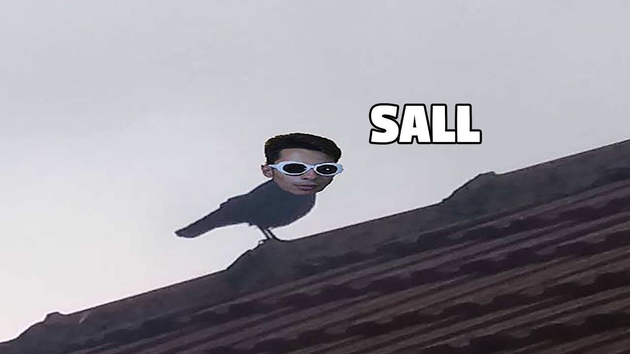 ZAPPY CIOROIU' - Duminica de Meme-uri #2