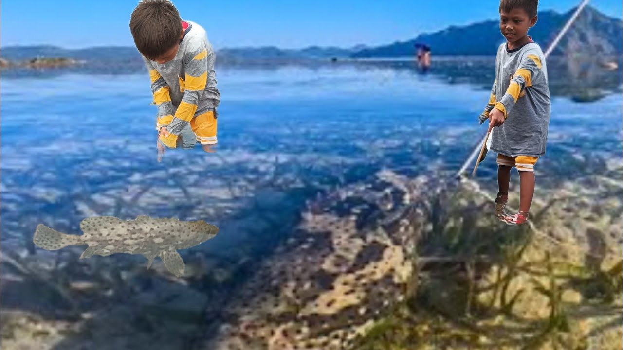 sahibasan lang pala naka tira ang mga giant grouper nato 😱