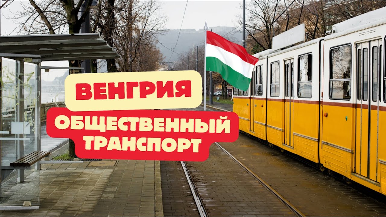 ОБЩЕСТВЕННЫЙ ТРАНСПОРТ ВЕНГРИИ. ВЛОГ