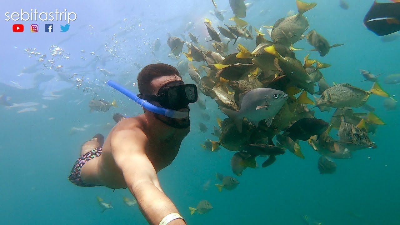LOS CABOS -  Snorkel y Playa el Chileno ¿Cuánto cuesta? DIA 2 