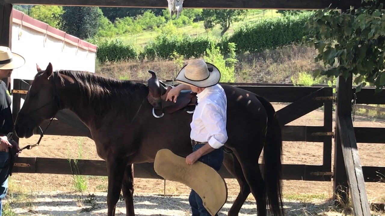 Corretta posizione della sella | GianniWest