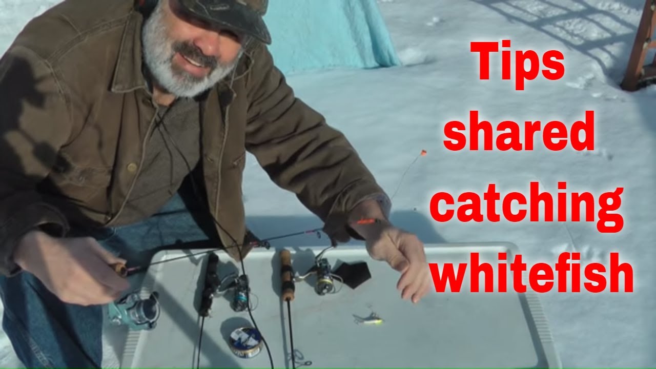 Ice Fishing  Whitefish (Bag of Tricks)