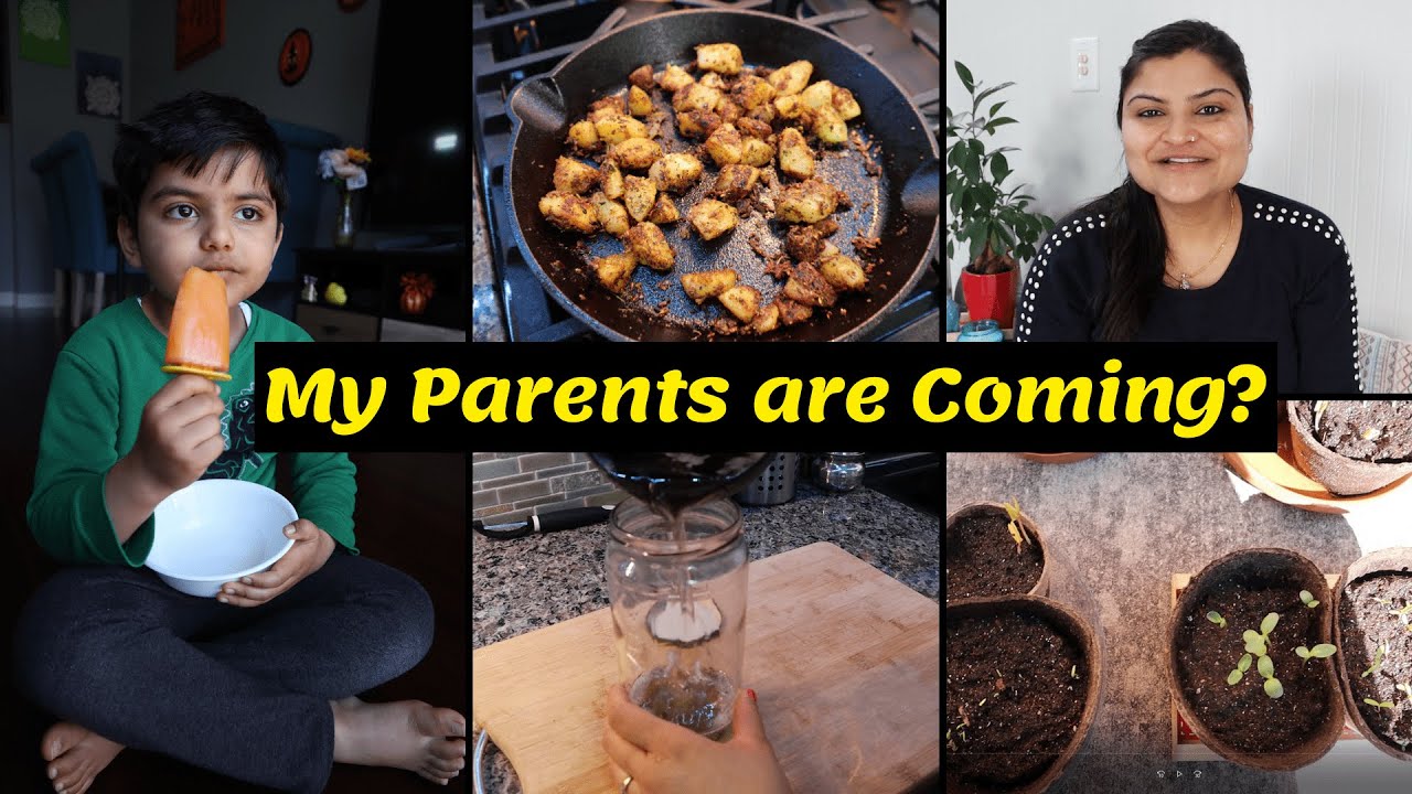 Mere Parents India Se Kab & Kaise Aa Rahe Hai~ My Vaccination??~ My Hair Oil Recipe & Gardening Day