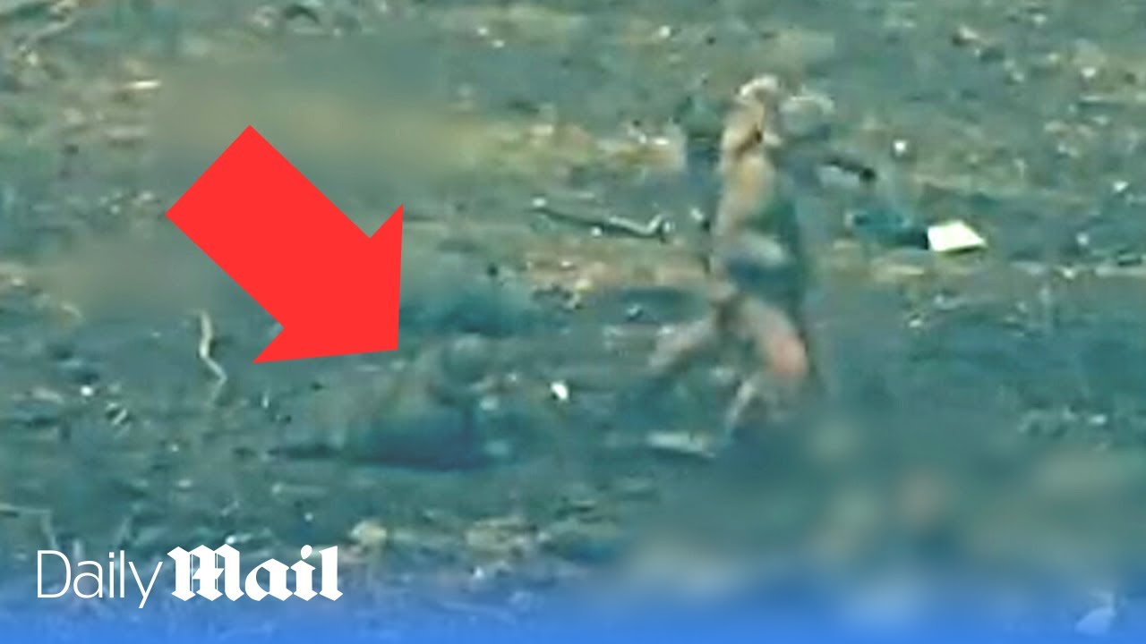 Russian soldiers abandon wounded comrade and rob him…before being hit in Ukraine