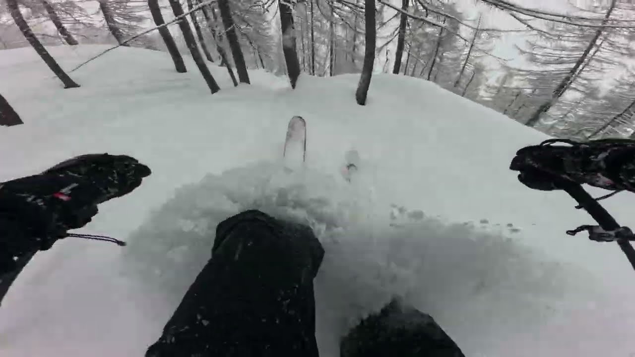 I tried to be there on time, catching the right snow. Unfortunately, I get here less often now.