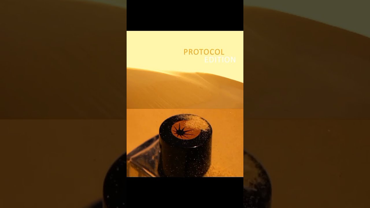 Protocol Edition Pendora Scents - Paris Corner Perfumes