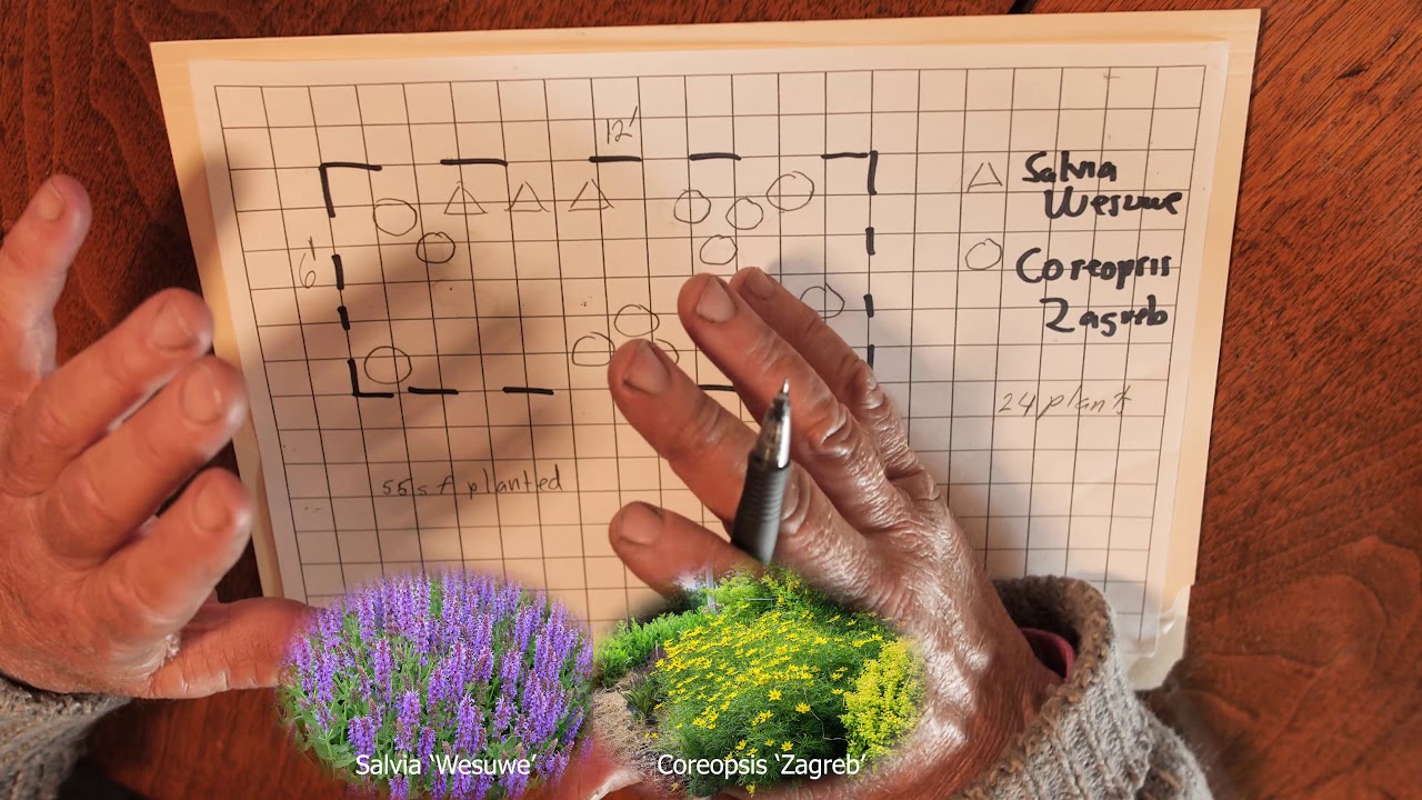 CREATING PLANT PATTERNS  Ep. #26