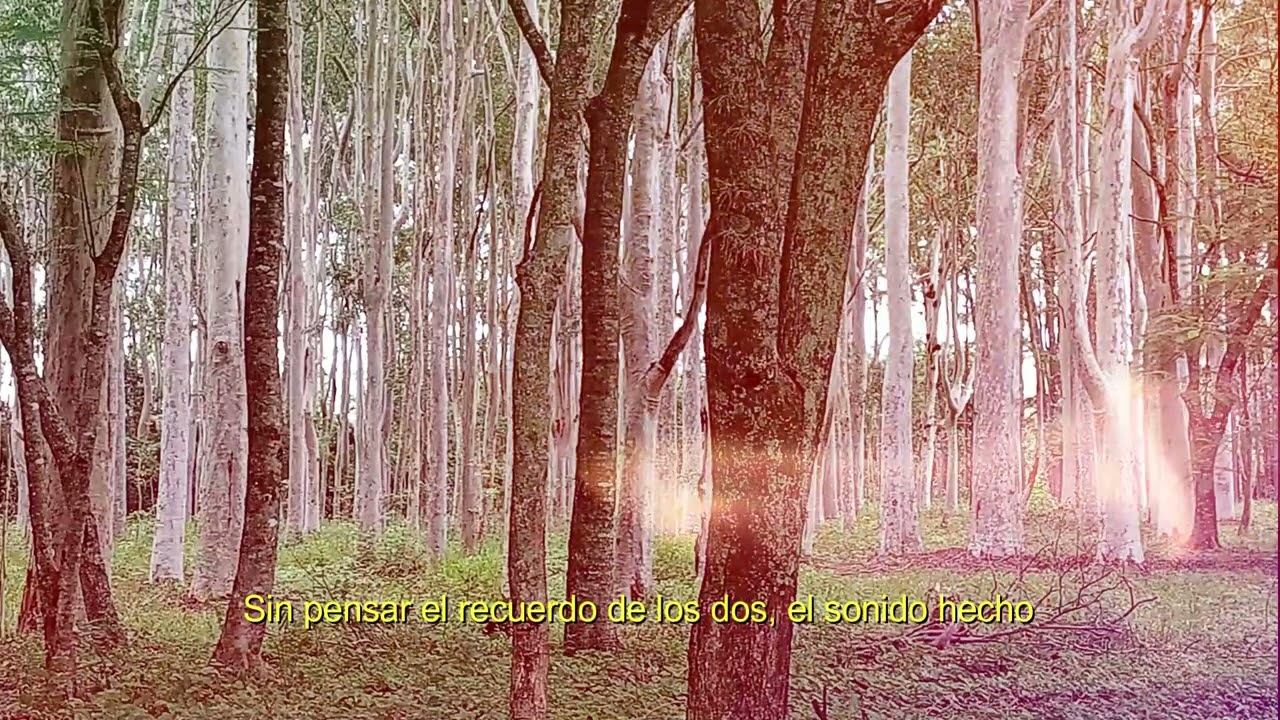 Esas Cosas que Brillan(Original song)(lyrics)