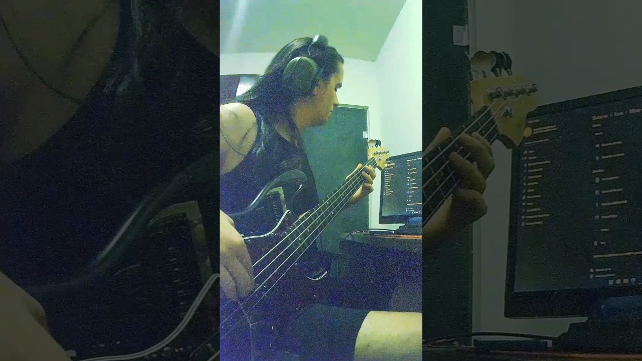 Zóio de lula - Bass cover 