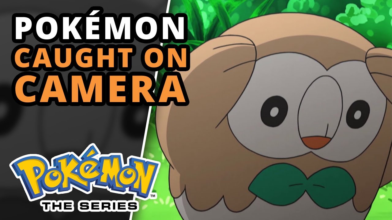 Funniest Pokémon Compilation | Pokémon the Series