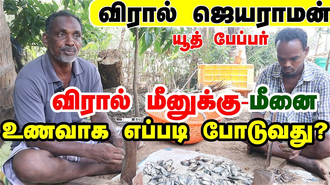 விரால் மீனுக்கு மீனை உணவாக  எப்படி போடுவது -முழுமையாக விளக்குகிறார் விரால் ஜெயராமன்#viral jayaraman