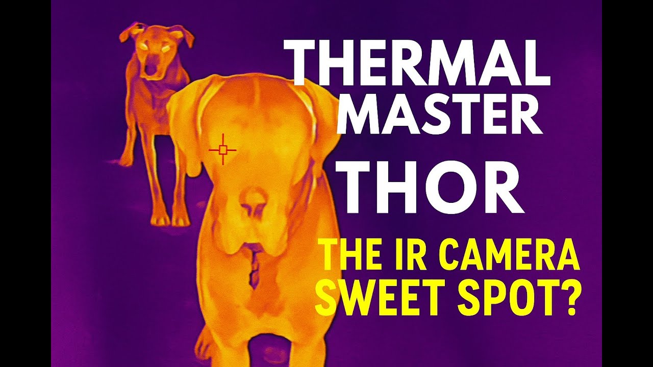 Thermal Master Thor vs The Competition - The Thermal Camera Sweet Spot?