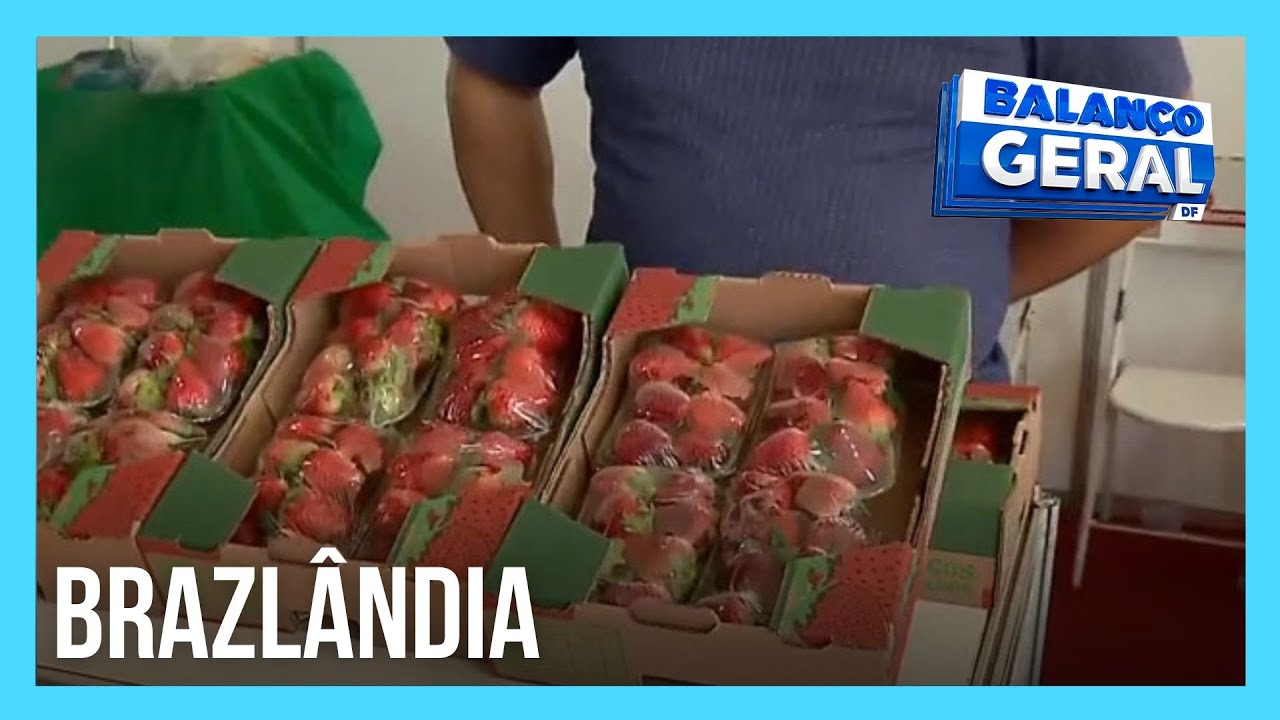 Festa do Morango de Brazl&acirc;ndia re&uacute;ne shows, atra&ccedil;&otilde;es e gastronomia neste final de semana