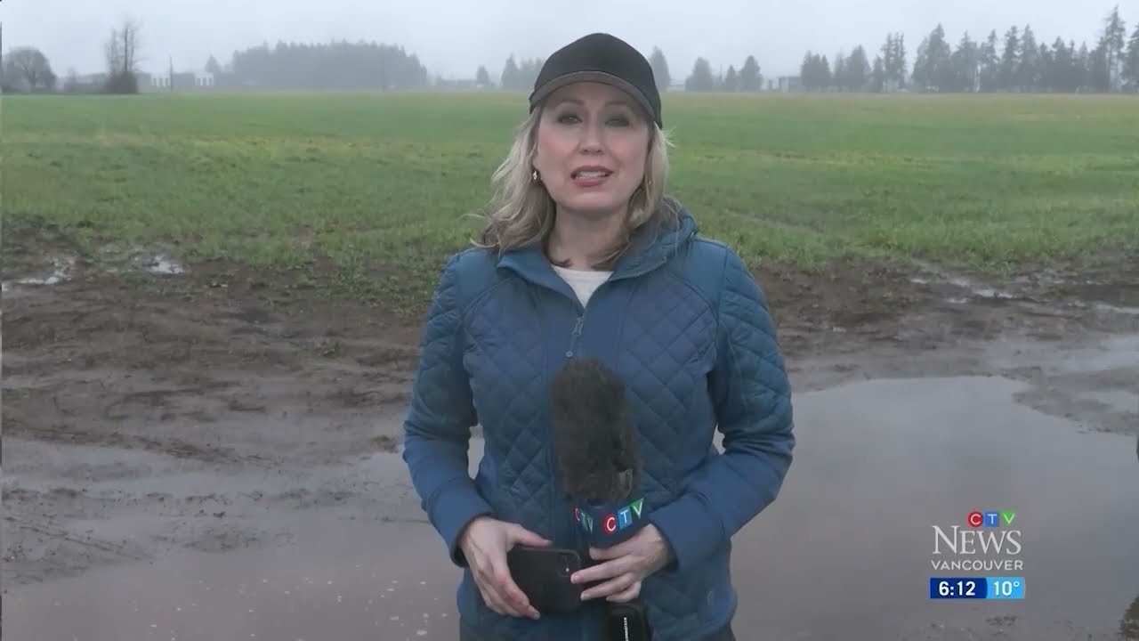 Push to save Surrey farmland