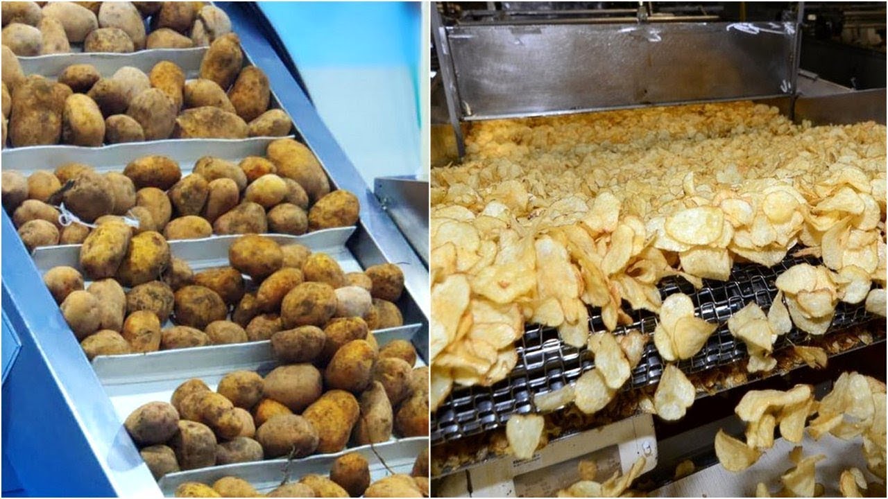 Industrial Food Processing Machines That Are At Smart Level