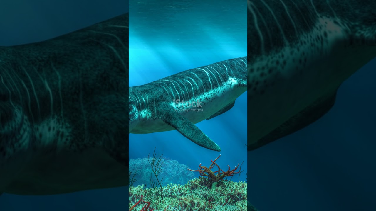 Cricosaurus: O Ca&ccedil;ador Subaqu&aacute;tico Mais Subestimado !!!