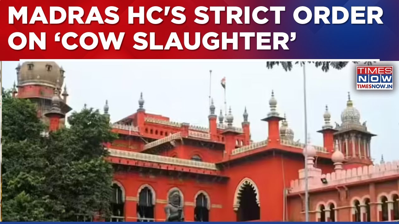 Madras High Court Issues Strict Order Ahead Of Bakrid, 'Cow Slaughter Not Essential To Islam'