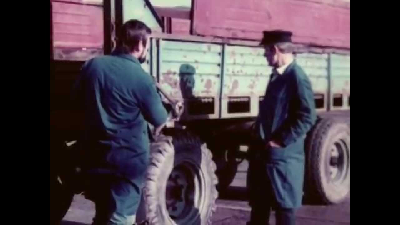 Tag für Tag - Milchviehanlage LPG Karl Marx Broderstorf   - DDR Dokumentarfilm