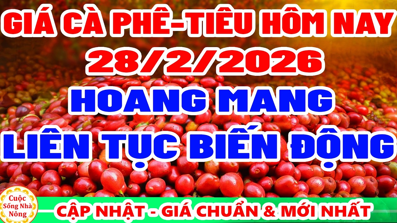 Giá cà phê hôm nay ngày 28/2/2026 | LIÊN TỤC BIẾN ĐỘNG - giá tiêu hôm nay