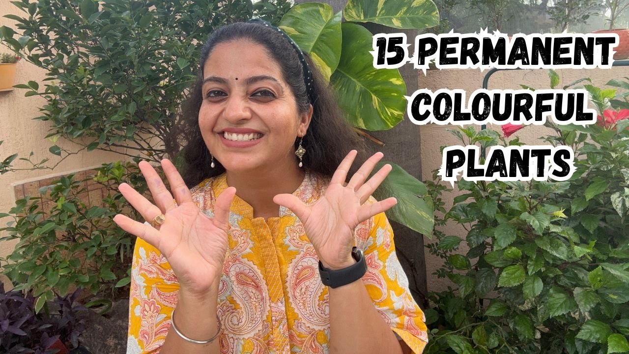 🌈15 Permanent Colorful Plants🪴 | Yeh paudhe daal denge apki plant collection mein jaan