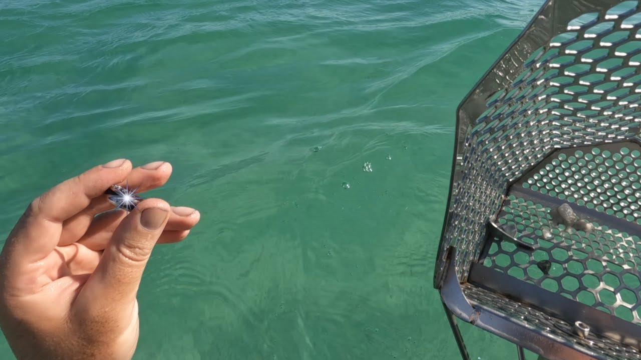 There was a LOT of jewelry on the sandbar!!!